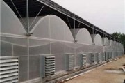 钢丝大棚制作方法视频
:怎么建温室大棚？