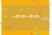 seo怎么学(seo怎么学)