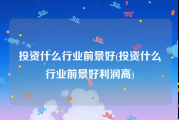 投资什么行业前景好(投资什么行业前景好利润高)