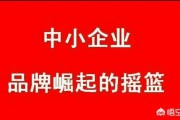 线上销售总结与计划
:中小企业网络营销面临哪些问题挑战和新机遇？