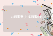 seo哪家好(上海哪家SEO)