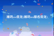 潍坊seo优化(潍坊seo排名优化)