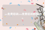 seo免费培训(seo免费培训教程pdf)