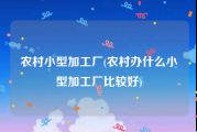 农村小型加工厂(农村办什么小型加工厂比较好)