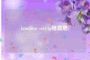 btm(btm vers tp啥意思)