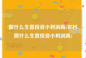 做什么生意投资小利润高(农村做什么生意投资小利润高)