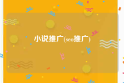 小说推广(seo推广)