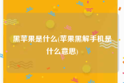 黑苹果是什么(苹果黑解手机是什么意思)