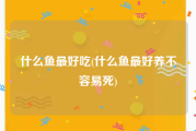 什么鱼最好吃(什么鱼最好养不容易死)