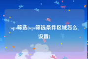 wps筛选(wps筛选条件区域怎么设置)