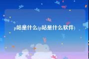 p站是什么(p站是什么软件)
