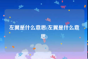 左翼是什么意思(左翼是什么意思)