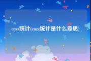 cnzz统计(cnzz统计是什么意思)