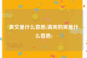 爽文是什么意思(清爽的爽是什么意思)