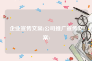 企业宣传文案(公司推广宣传文案)
