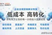 全网营销课程(全网营销课程老师)
