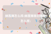 赫莲娜怎么样(赫莲娜黑白绷带怎么样)