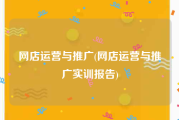 网店运营与推广(网店运营与推广实训报告)