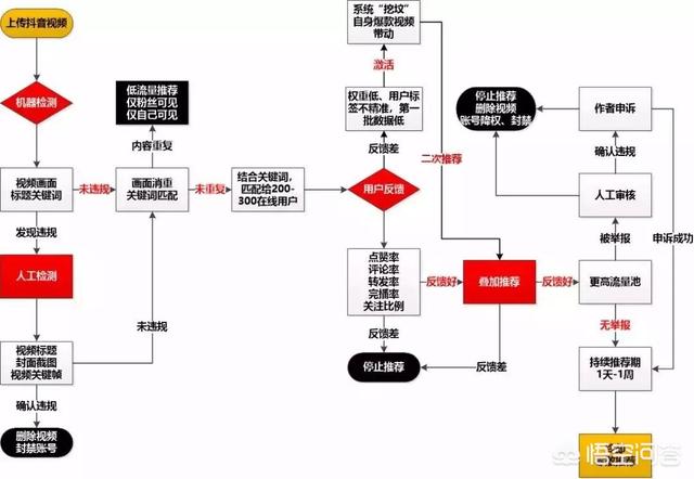 抖音号大全
:抖音号如何运营？  第2张