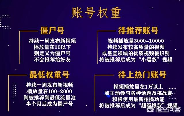 抖音号大全
:抖音号如何运营？  第3张