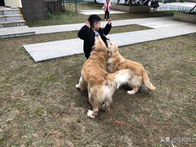 怎么拿货源:网店如何才能拿到一手货源呢？  第1张