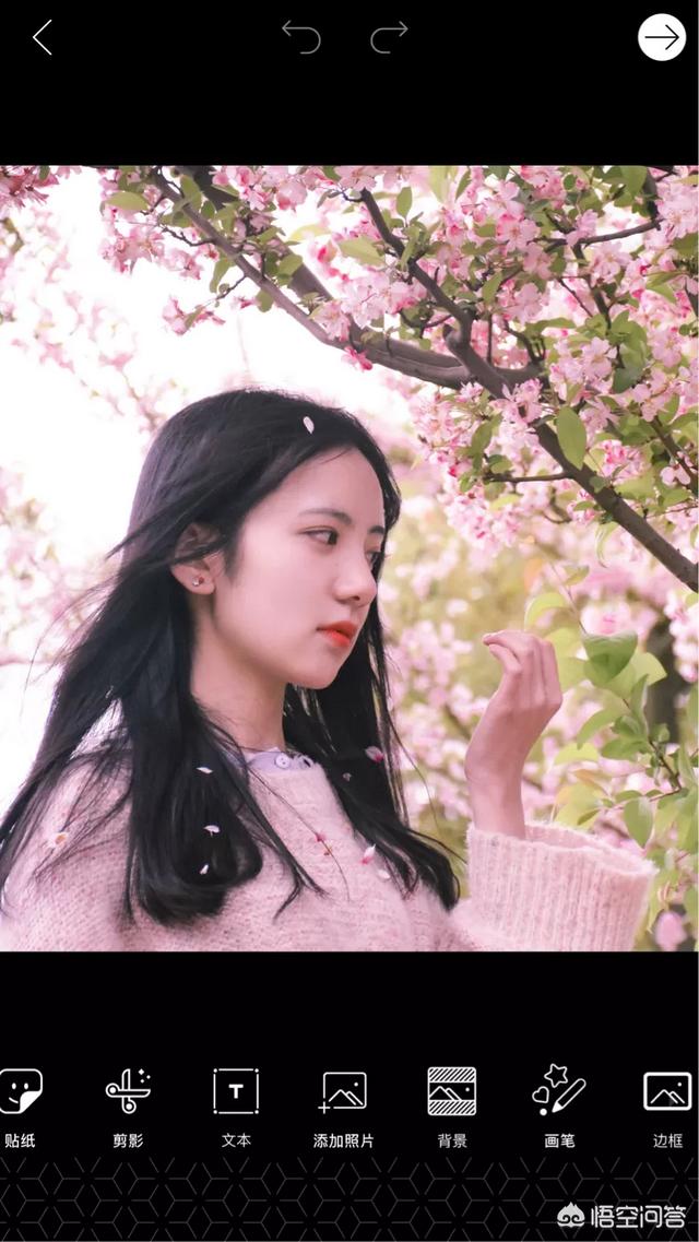 图文编辑器:手机上好用的图片编辑app有哪些？  第2张