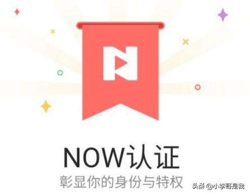 now直播:QQ的NOW直播怎样认证？  第8张