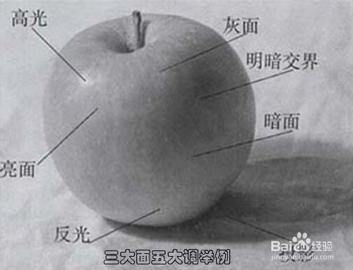 素描速成:怎样才能快速学会素描？  第2张