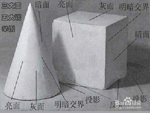 素描速成:怎样才能快速学会素描？  第5张