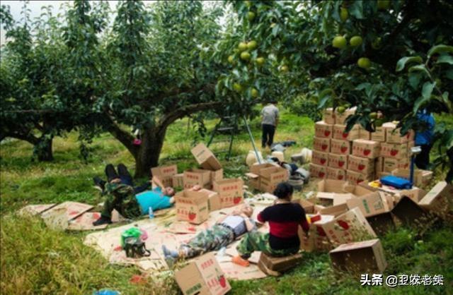 多多进宝是什么:朋友家里种了苹果，急着找销路，有没有渠道推荐的？  第2张