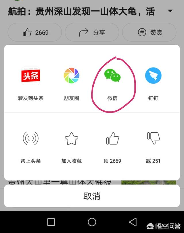 头条视频下载
:如何下载头条视频? 第2张 头条视频下载
:如何下载头条视频? 第2张