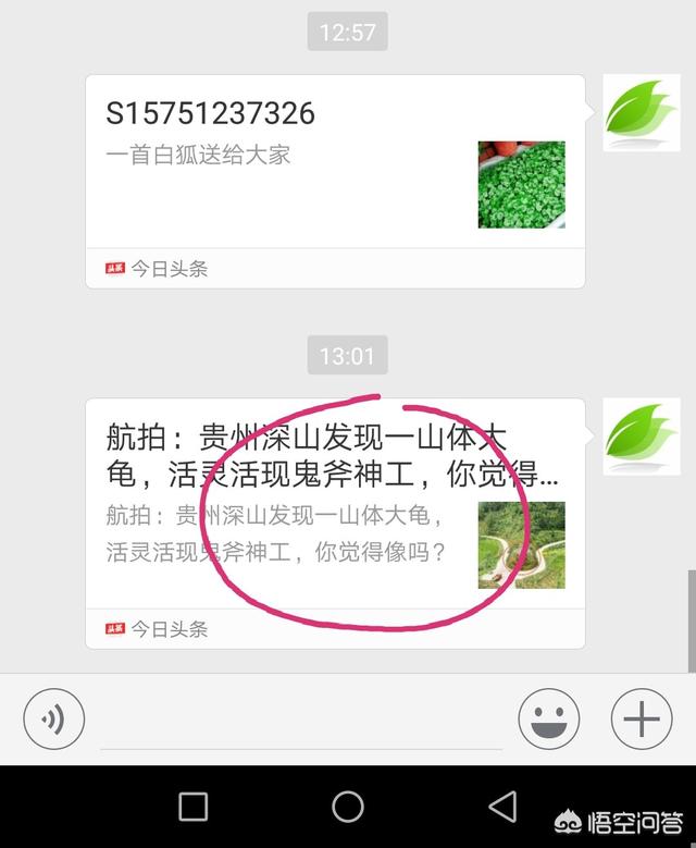 头条视频下载
:如何下载头条视频? 第4张 头条视频下载
:如何下载头条视频? 第4张