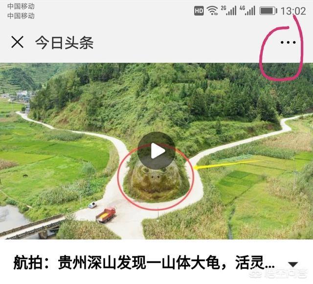 头条视频下载
:如何下载头条视频? 第5张 头条视频下载
:如何下载头条视频? 第5张