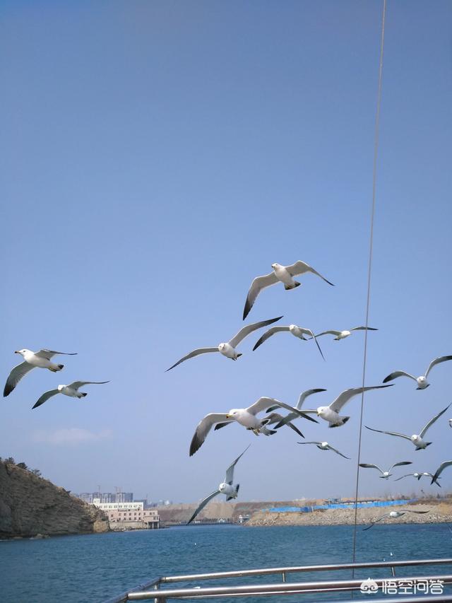 王乐平:作曲家王酩和王立平，乐界堪称作曲大王，“二王”作品异彩纷呈，谁更是顶级作曲大师？  第3张