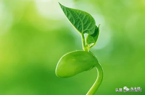 易经解读基础入门:你如何用通俗易懂的语言来解读一下《易经》，让他走向大众，走进大众？  第1张