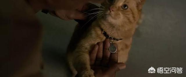 电影魔方
:《惊奇队长》中宇宙魔方在时间线上是否与之前的漫威系列电影设定出现矛盾? 第6张 电影魔方
:《惊奇队长》中宇宙魔方在时间线上是否与之前的漫威系列电影设定出现矛盾? 第6张