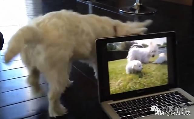 自媒体运营主要做什么:自媒体主要是干什么的？  第2张