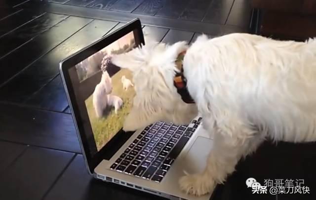 自媒体运营主要做什么:自媒体主要是干什么的？  第3张