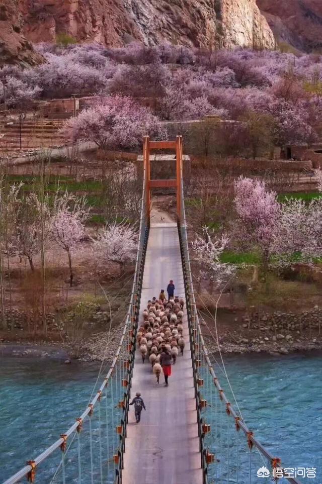 视频剪辑培训:各位条友，本人目前想学习视频剪辑，可以去哪里学呢，除了培训学校？  第1张