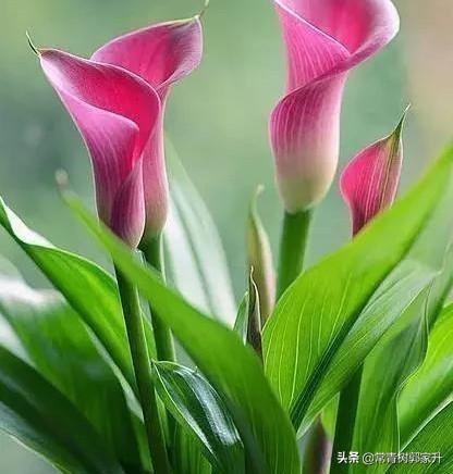 小火花自媒体平台:请问除了头条号，还有其他可以长久自媒体的平台吗？  第2张