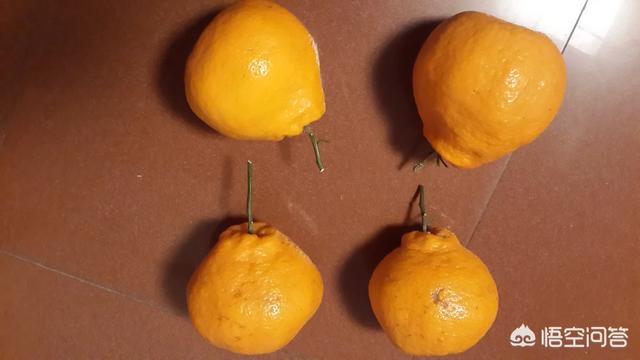 注册自媒体账号:自媒体号怎么注册，怎么写？  第1张