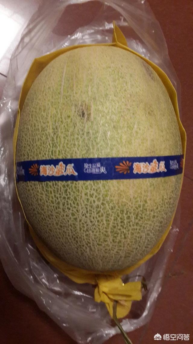 注册自媒体账号:自媒体号怎么注册，怎么写？  第2张