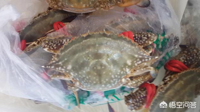 注册自媒体账号:自媒体号怎么注册，怎么写？  第3张