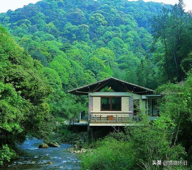 远离世俗:其实远离世俗你可以活的更好！可为什么那么多人宁愿痛苦过一生也要做个俗人？  第2张