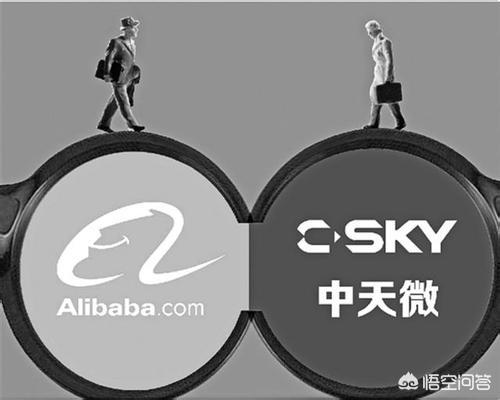 中天系统网页版:如何看待阿里巴巴收购中天微？  第4张