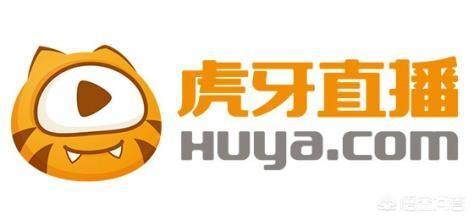 企鹅直播平台:哪一个直播平台更厉害？  第2张