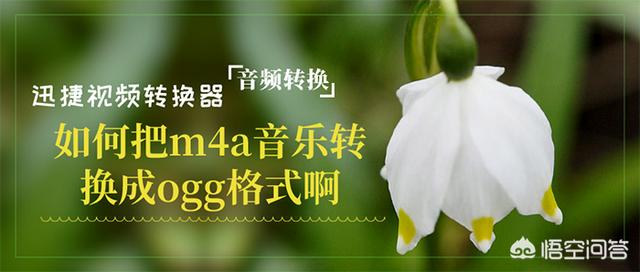 mp3转ogg:如何把m4a音乐转换成ogg格式啊？  第1张