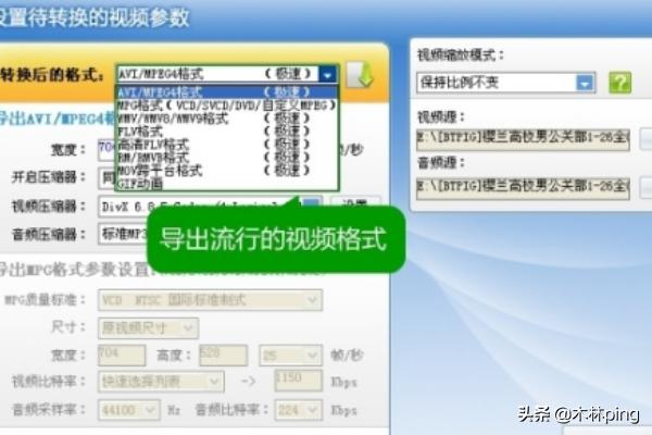 rm转mp4:怎么把MP4转成FLV？  第2张