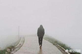 人人字幕网:中国动漫和影视字幕组是如何发展起来的？  第33张