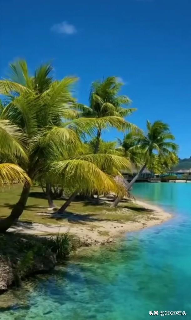 敏感词汇:什么叫敏感词？  第1张